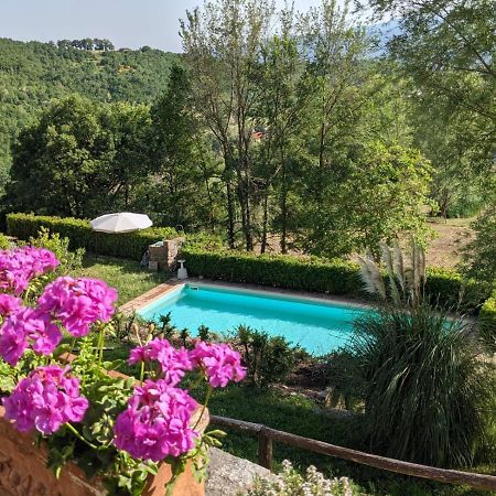Agriturismo Casentino - Fattoria Ventrina Martina Esterno foto