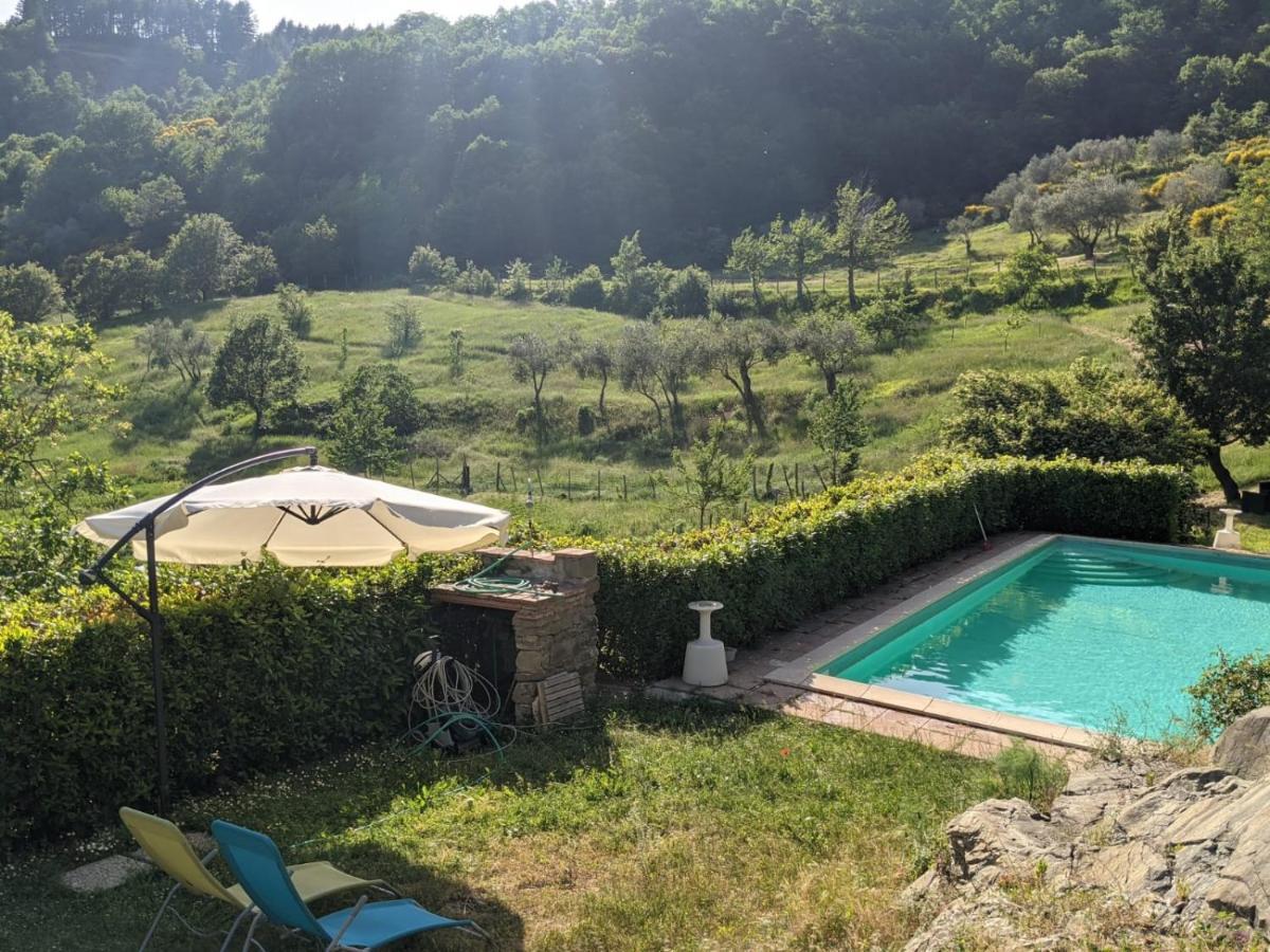 Agriturismo Casentino - Fattoria Ventrina Martina Esterno foto