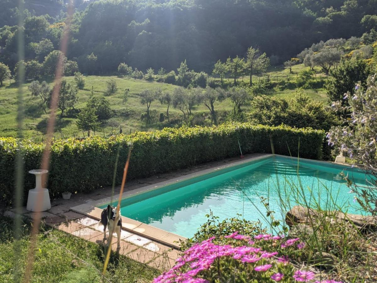 Agriturismo Casentino - Fattoria Ventrina Martina Esterno foto