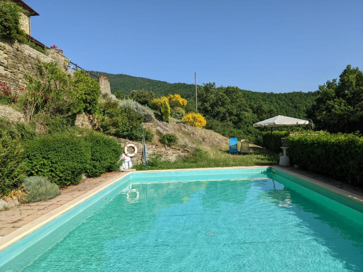 Agriturismo Casentino - Fattoria Ventrina Martina Esterno foto