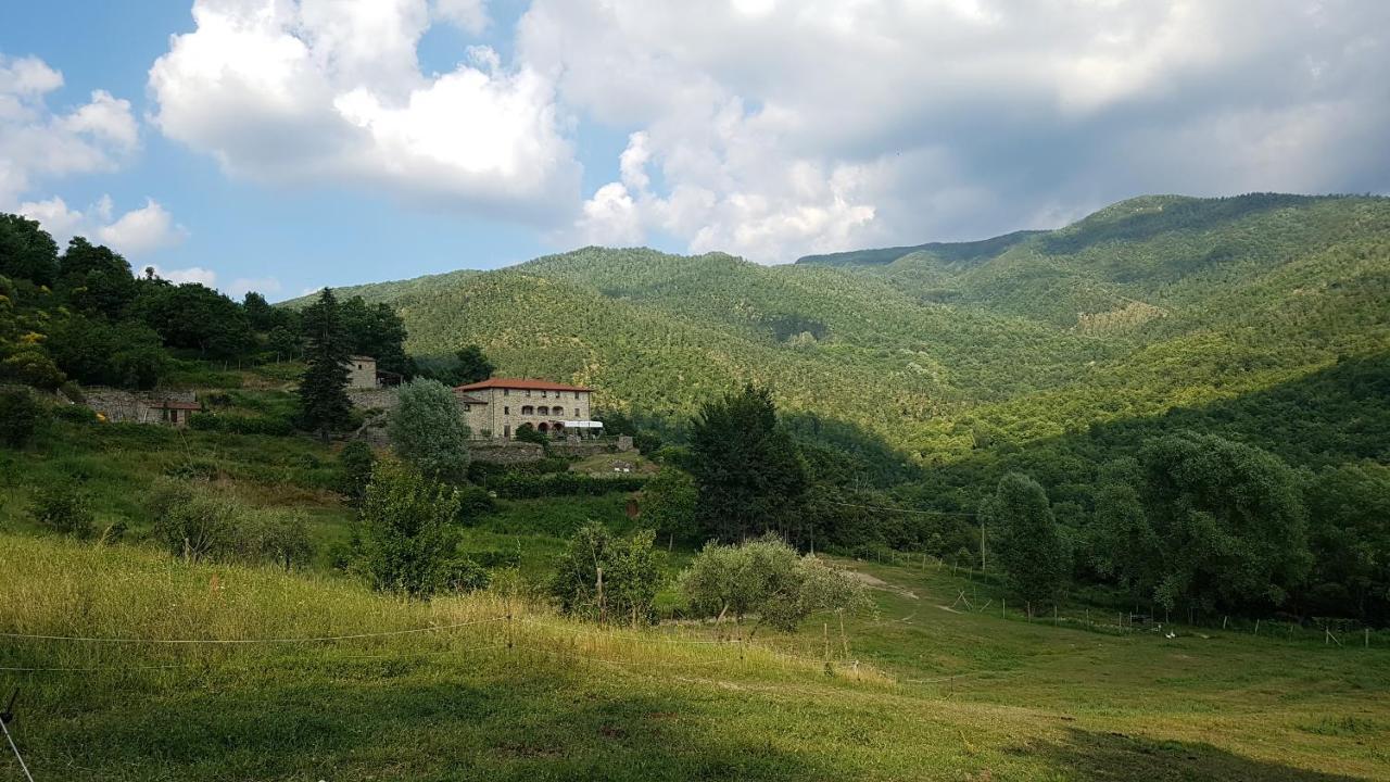 Agriturismo Casentino - Fattoria Ventrina Martina Esterno foto